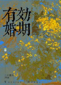 有效婚期 二十迷川